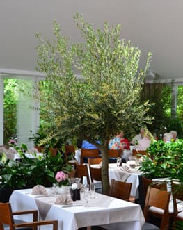 Restaurant Alte Hahnenburg – Wintergarten